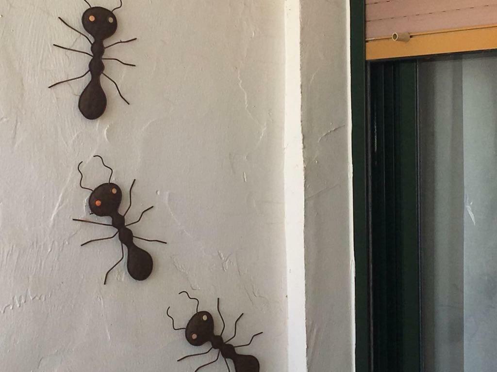 Bonito Apartamento En Zahara De Los Atunes Bagian luar foto